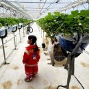 버들골농장 이미지