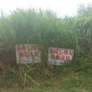 금릉역길 이미지