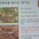 한국삼공 주식회사