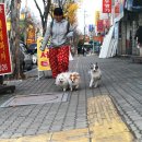 옹기종기 이미지