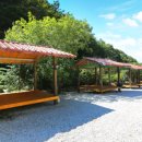 백운면 2049 이미지