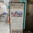 플라비부산 이미지