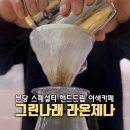 그린나래라온제나
