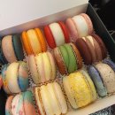 더스쿱 스쿱당 | [스쿱당] 유트버 더스쿱 님의 스쿱당 방문후기 포항 마카롱맛집 포항여행 포항가볼만한곳