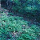 선의농원 이미지