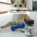 엠엔바이오 | 강아지관절영양제 엠엔바이오랩 꼬순이 건강한 간식