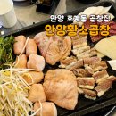 안양 곱창 맛집 : 모듬이랑 볶음밥은 필수! 안양황소곱창 내돈내산