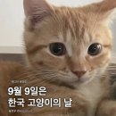 태웅3체육관 | ㄱr을..?🍂