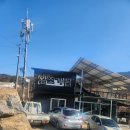 왕조가든 이미지