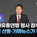 "반국가세력, 종전 노래 부르고"‥"태극기 부대 연설 수준" 이미지