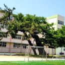 느티나무유치원 이미지