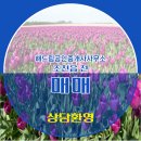 해드림부동산공인중개사사무소 이미지