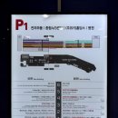 원약국 | 용산 창고형 약국 메디킹덤 약국 후기ㅣ14만원 쓴 이유 + 실제 가격 비교