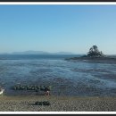 남포마을 이미지