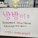 수피아 | 당진카페 수피아 체험 후기｜아이동반 실내체험 카페