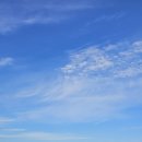 오송3산단공인중개사사무소 | 오송1산단(호반 롯데 경남 모아 대원 힐데스)아파트 매매 전세 정보