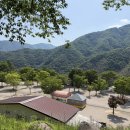 산청캠핑장 추천 지리산 당근오토캠핑장(구 대경)