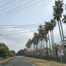 소노캄제주EAST동 이미지