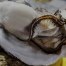 순애민박 이미지