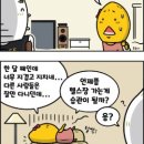 운동습관 이미지