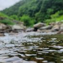 영동물소리민박 이미지