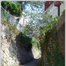 태안중학교 이미지