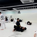 회사 끝나고 안산주짓수 찐 재미 찾음! 원코리아주짓수 안산고잔 도장 입문 후기