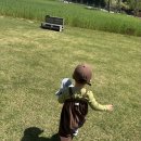 하나농장 | 보령 1박2일(우유창고, 상화원, 발레리조트, 스카이 바이크)
