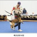 수제산업동물병원 이미지