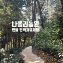 숲속의살룻 자연농원 | 통영 나폴리농원 맨발 편백숲 치유 체험기 예약 및 체험비 정보