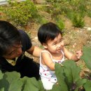 예린농장 이미지