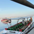 선장가스 | 리마 근교 여행 3일차 빠라가스 바예스타스 섬 - 해양동물 천국 투어 후기