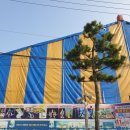 방아머리공원(솔밭) 이미지