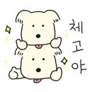 이번생은 댕댕이 이미지