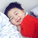 더사르르 이미지