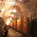 와인터널 이미지