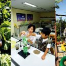 신이환경 이미지