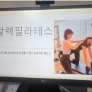 알렉필라테스 네이버블로그
