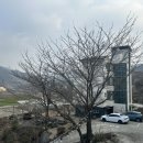 지리산 팔베개 이미지