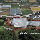 유리농장 이미지