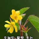 용암리 이미지