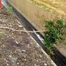 대조농장 이미지