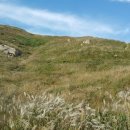 유원LG부동산공인중개사사무소 이미지