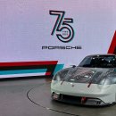 357 이미지