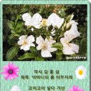 김*출 네이버블로그