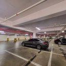 필립스 골프 아카데미 이미지