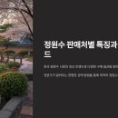 🍃정원수 판매처별 특징과 구매 가이드