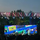 2024 서구 쿨(cool)한 콘서트 | 대구 서구 쿨(Cool)한 콘서트 후기(육중완밴드,크라잉넛)