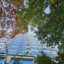 엄재화내과의원 이미지