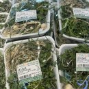 새로이밥상 | 26년 3월 네 번째